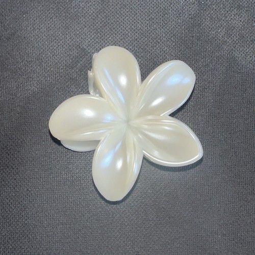 Clip spange haar accessoires - clip,